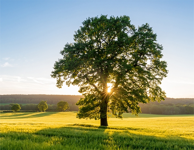 DB电竞(DBGame)官方网站