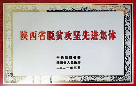 DB电竞(DBGame)官方网站